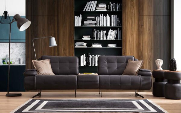 Dragon Koltuk Takımı